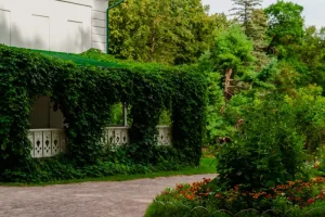 Garden Planning for Fall: Tips for Planning and Preparing Your Garden in Summer