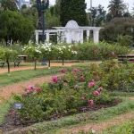 How to Create a Fall Garden Planting Schedule Using Your Summer Harvest Calendar