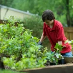 Keep Summer Going: Maximize Your August Vegetable Harvest