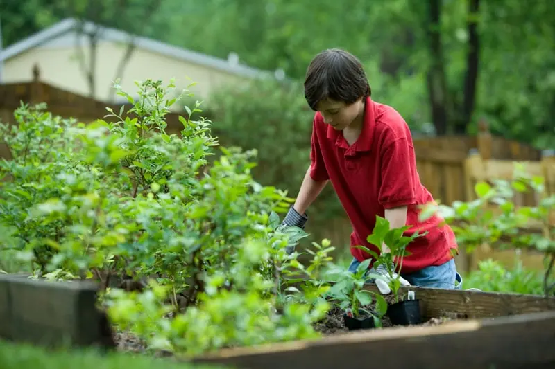 Keep Summer Going: Maximize Your August Vegetable Harvest
