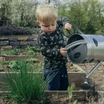 Fall Garden Planning: Tips for Planning Your Fall Vegetable Garden