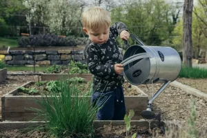Fall Garden Planning: Tips for Planning Your Fall Vegetable Garden
