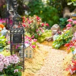 How to Read a Seed Packet: Understanding Planting Dates and Days to Maturity