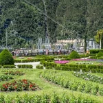 How to Water Your Garden Efficiently During the August Heat