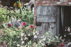 Plant Spring-Flowering Bulbs: Your September Guide to Next Year’s Blooms