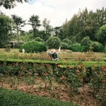 Boost Your Soil This October: The Benefits of Planting Cover Crops