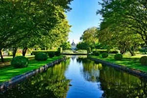 Fall Garden Cleanup Checklist: What to Do Before the First Frost