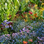 Garden Planning for Next Year: Tips for Planning and Preparing Your Garden