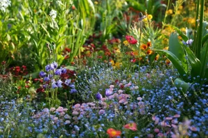 Garden Planning for Next Year: Tips for Planning and Preparing Your Garden