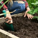 Protecting Your Garden from October Frost: Essential Tips