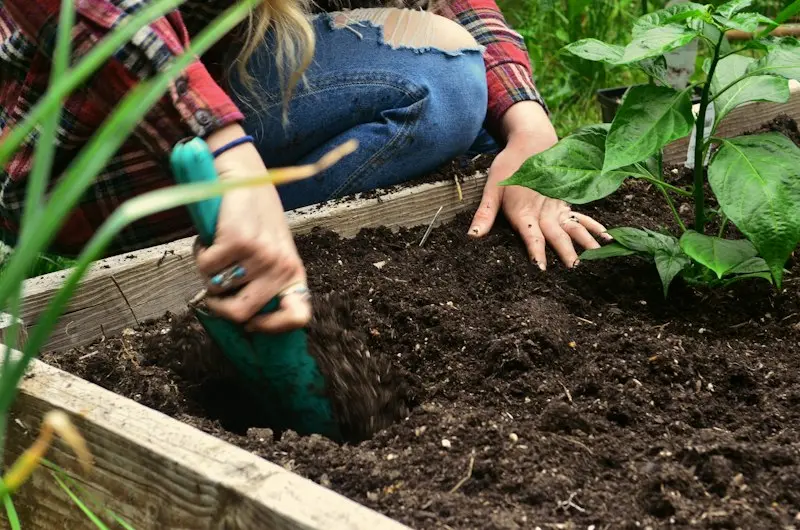 Protecting Your Garden from October Frost: Essential Tips