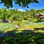 Why Skipping Fall Soil Amendment Is the Biggest Mistake Gardeners Make